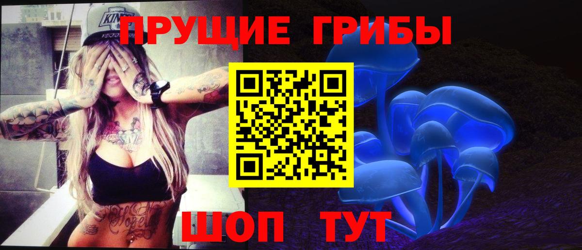 Псилоцибиновые грибы Cubensis  Вход с VPN  Чистополь 